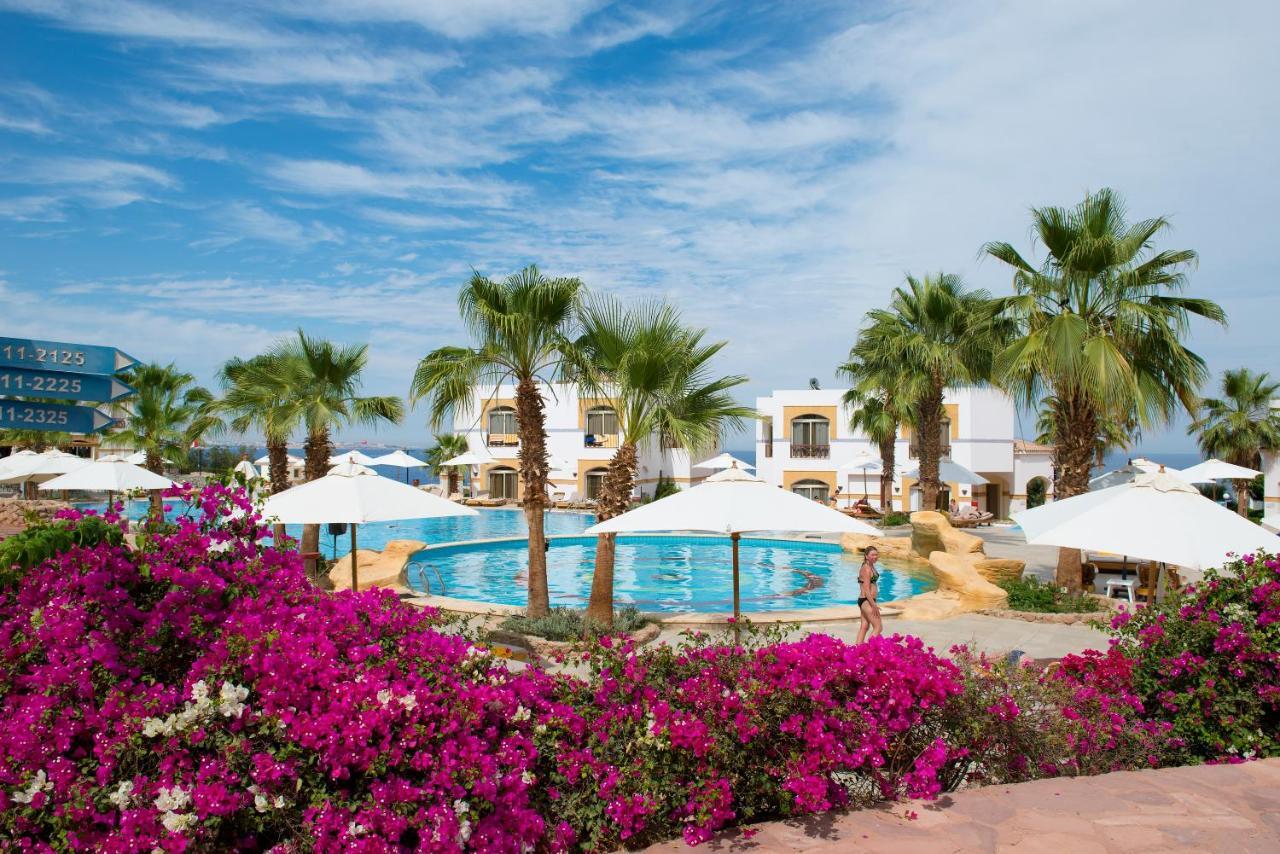Amphoras Blu Sharm el-Sheikh Ngoại thất bức ảnh